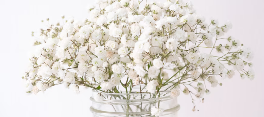 white flowers in a jar