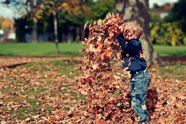 child playing with autumn leaves