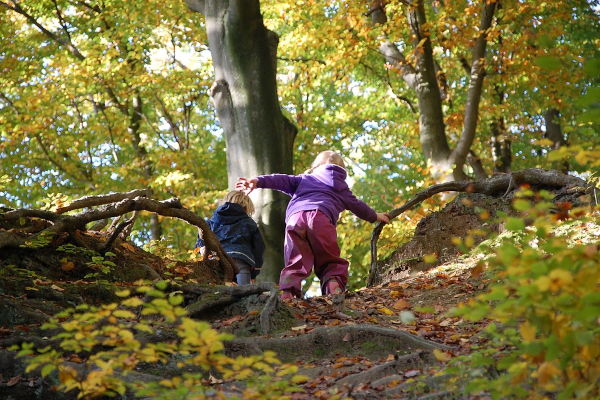 children in woodland in autumn